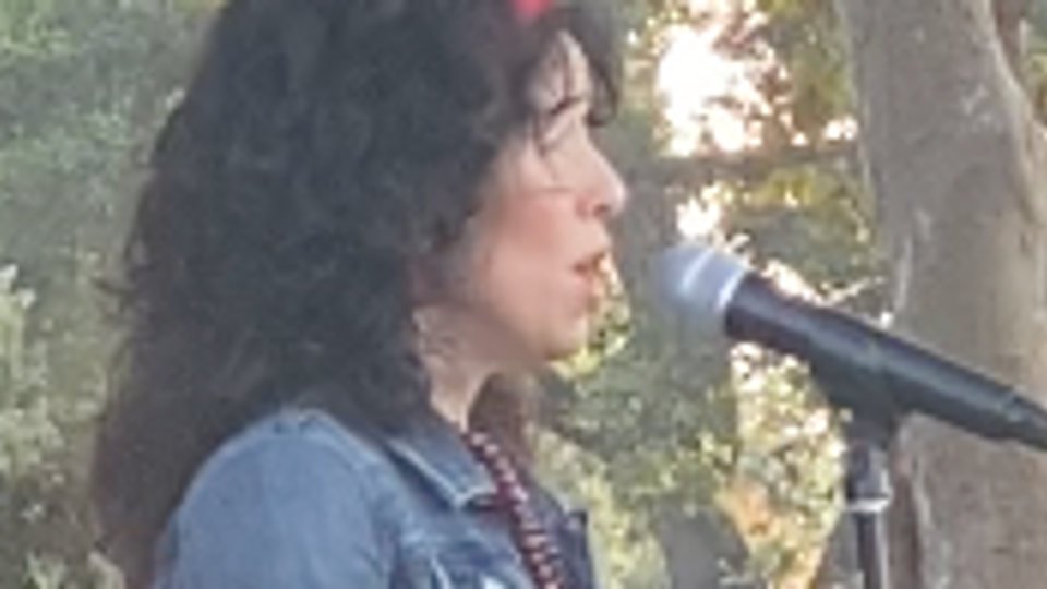 Park pop-up serenade - Con te partirò